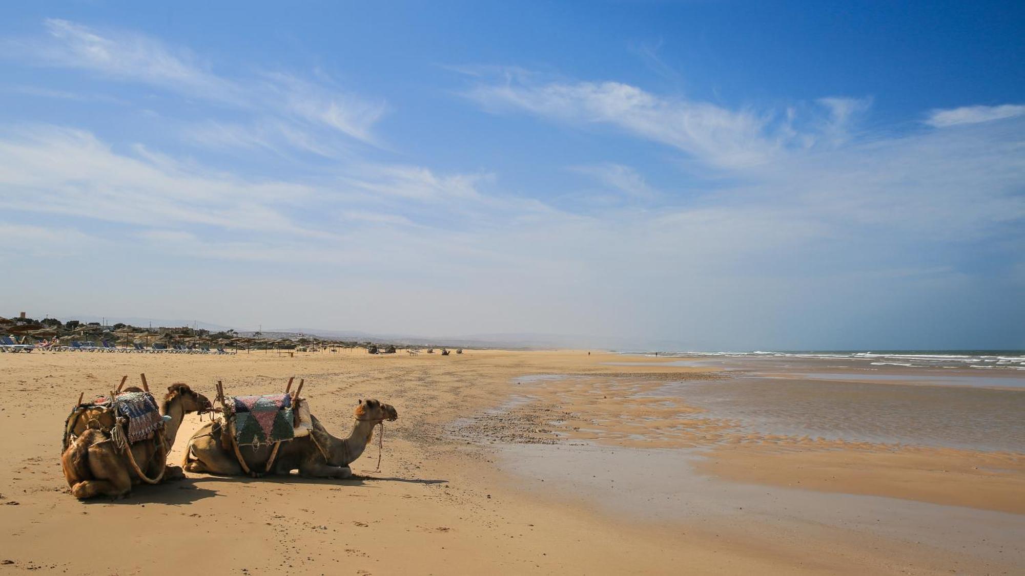 Suite Beldi, La Maison Des Paons Sidi Kaouki Luaran gambar